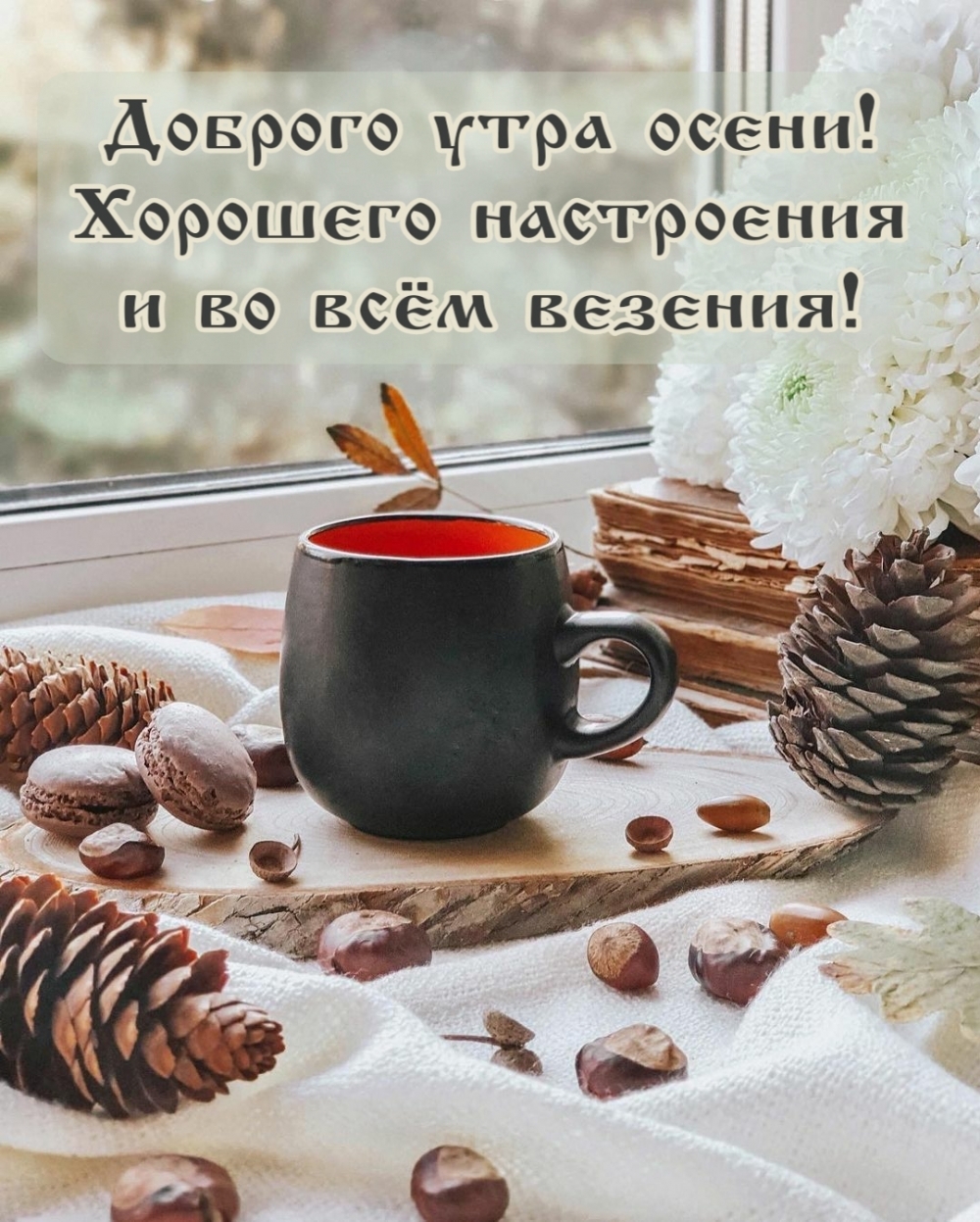 Стильные Осенние Картинки С Добрым Утром