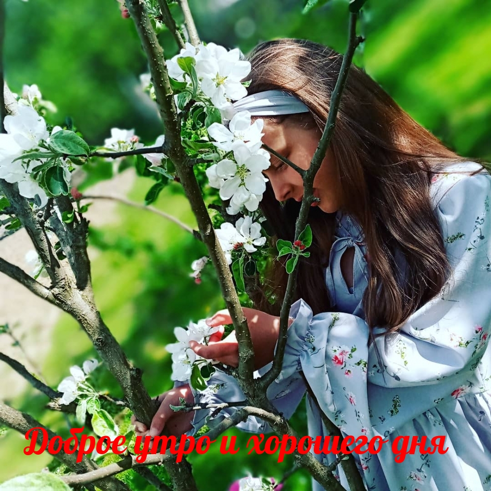 Доброе утро и хорошего дня Доброе утро и хорошего дня