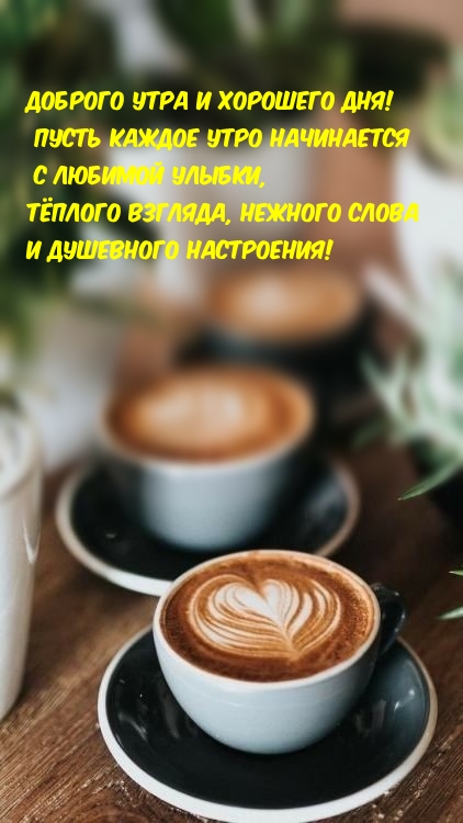 Доброго утра и хорошего дня! Доброго утра и хорошего дня!