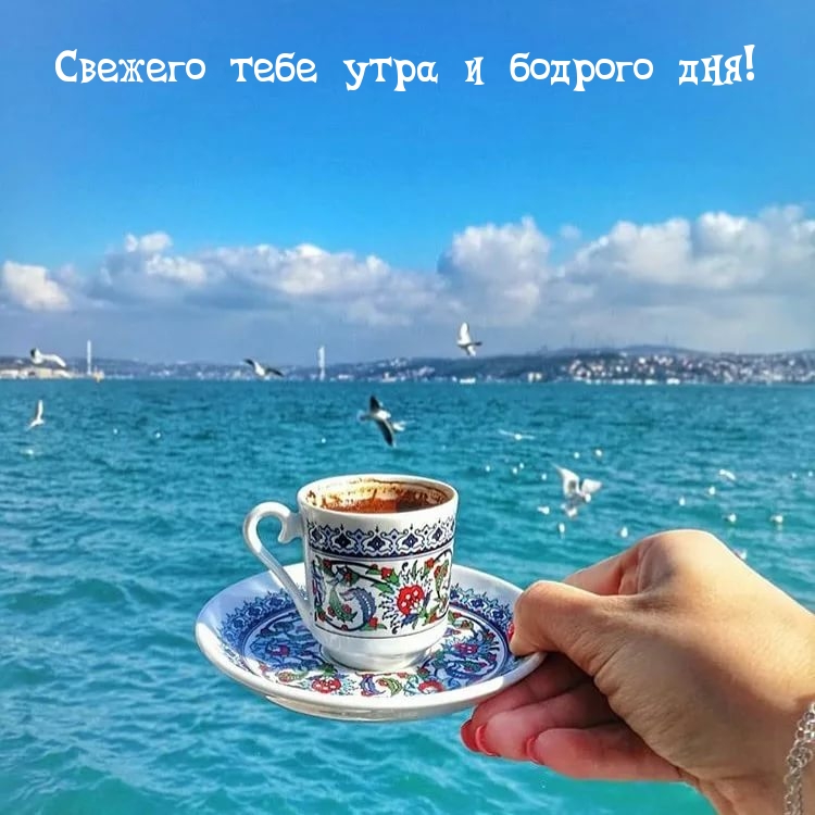 Свежего тебе утра и бодрого дня! Свежего тебе утра и бодрого дня!
