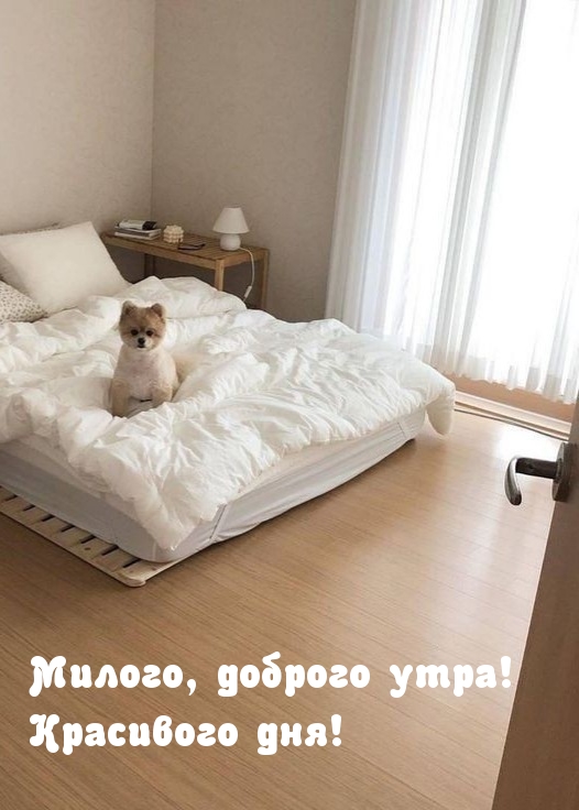 Милого, доброго утра! Красивого дня! Милого, доброго утра! Красивого дня!
