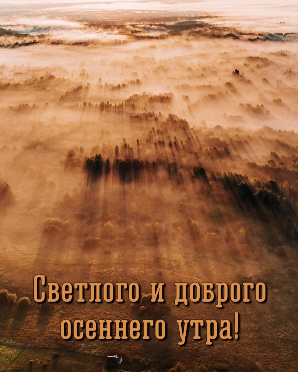 Светлого и доброго осеннего утра! Светлого и доброго осеннего утра!