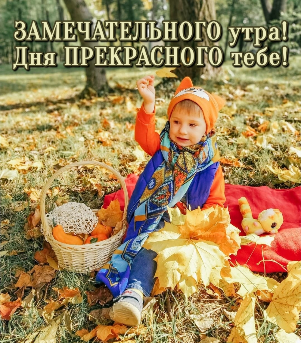 ЗАМЕЧАТЕЛЬНОГО утра! Дня ПРЕКРАСНОГО тебе! ЗАМЕЧАТЕЛЬНОГО утра! Дня ПРЕКРАСНОГО тебе!