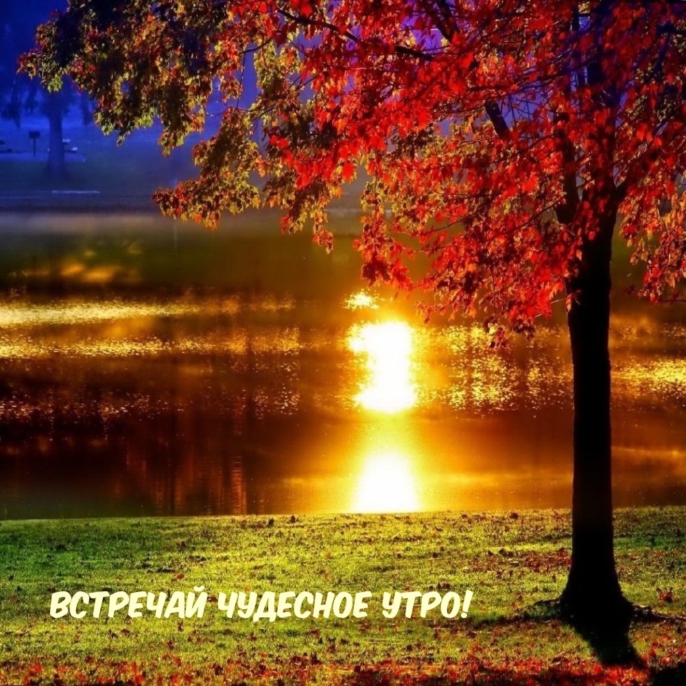 �������� �������� ����!