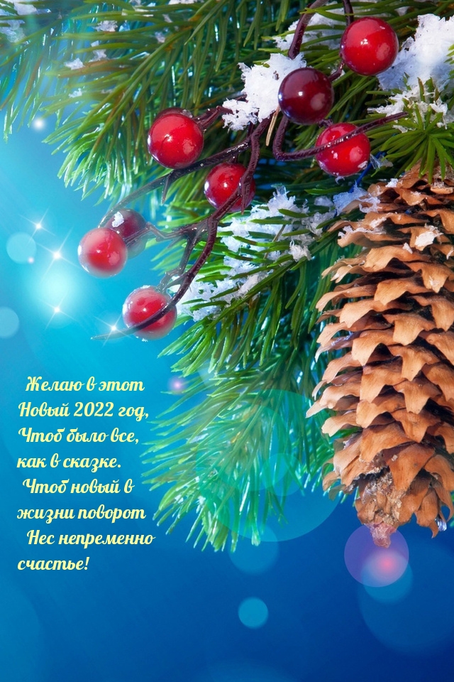 Желаю в этот Новый 2022 год, Чтоб было все, как в сказке Желаю в этот Новый 2022 год, Чтоб было все, как в сказке