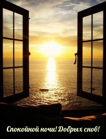 Спокойной ночи! Добрых снов!