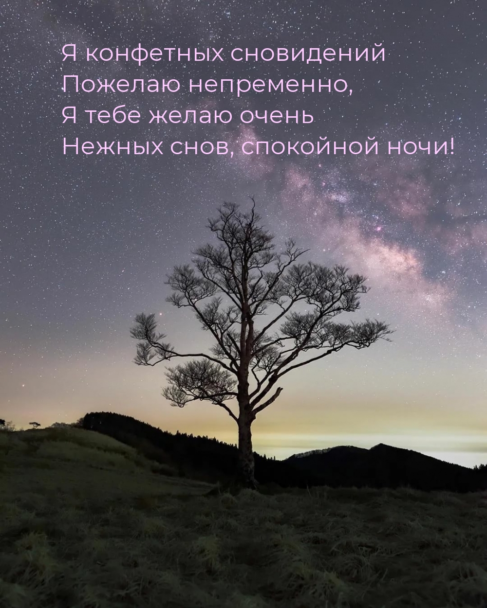 Я тебе желаю очень нежных снов, спокойной ночи! Я тебе желаю очень нежных снов, спокойной ночи!