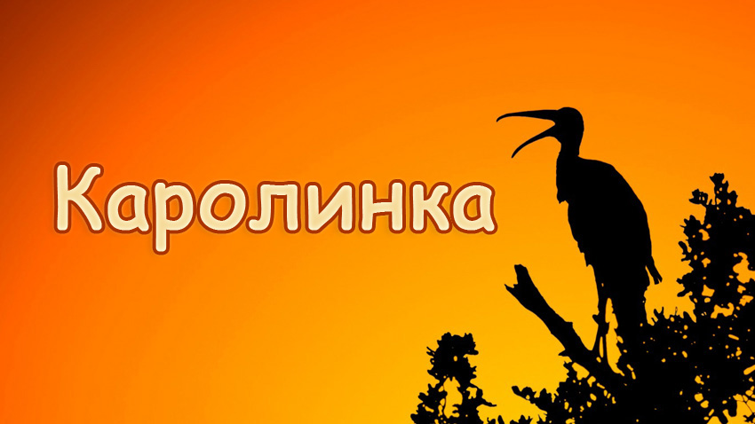 �������� � ������ ���������